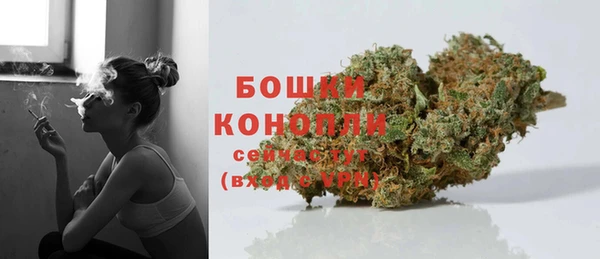 прущие грибы Зеленокумск