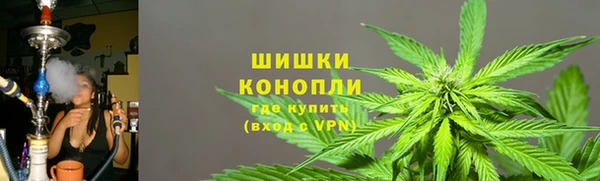 прущие грибы Зеленокумск