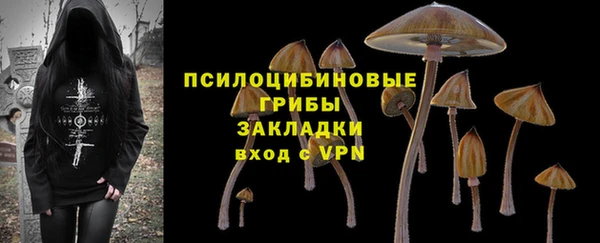 прущие грибы Зеленокумск