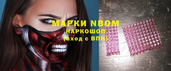прущие грибы Зеленокумск