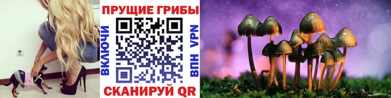 Купить где  Заозёрск  Псилоцибиновые грибы Magic Shrooms 